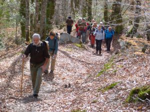 chemin_Conques_Roca_2013